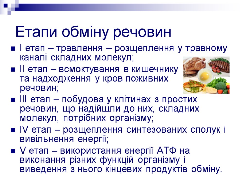 І етап – травлення – розщеплення у травному каналі складних молекул; ІІ етап –